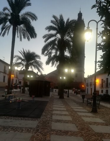 Paseo Viejo y Torre (2)